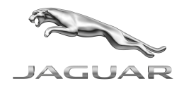 Jaguar Jaguar